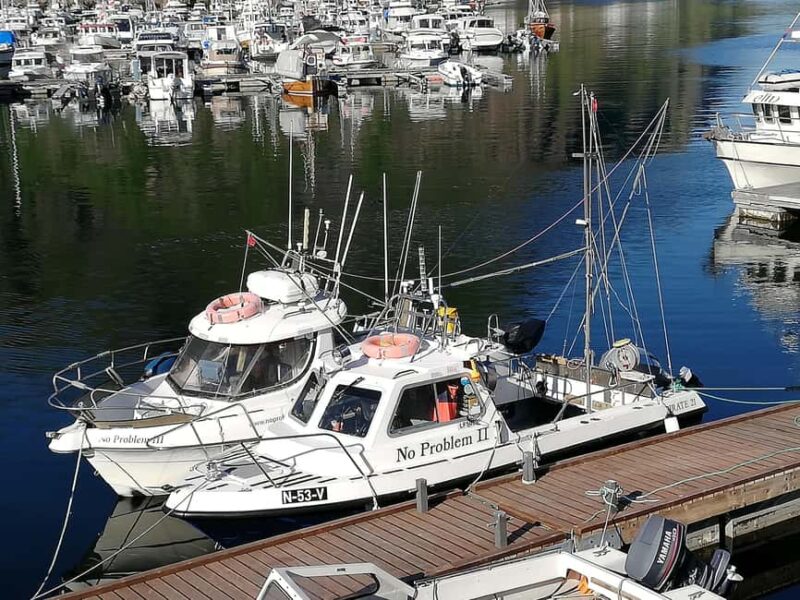 Svolvaer: Fishing Trips with a personal touch - Svolvaer: Fishing Trips with a Personal Touch — An Authentic Norwegian Sea Adventure