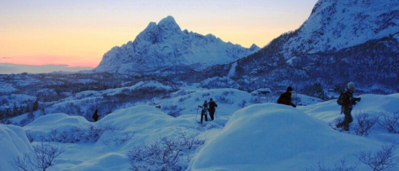Svolvaer: Half-Day Guided Snowshoeing Tour - Key Points