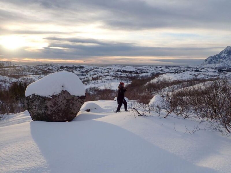 Svolvaer: Half-Day Guided Snowshoeing Tour - Exploring Norway’s Snowy Landscape with Guided Snowshoeing