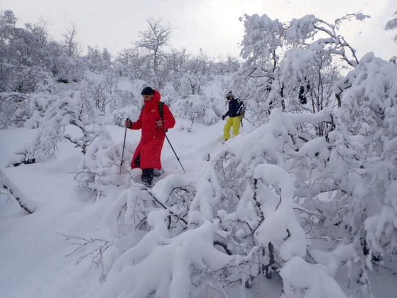 Svolvaer: Half-Day Guided Snowshoeing Tour - What Makes the Snowshoeing Equipment Special