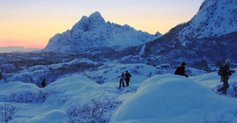 Svolvaer: Half-Day Guided Snowshoeing Tour - Logistics and Group Experience