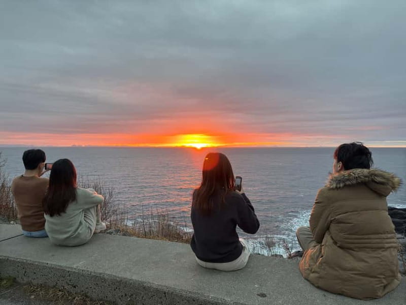Svolvær: Lofoten Islands Full-Day Guided Tour - Key Points