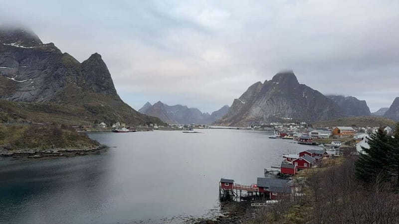 Svolvær: Lofoten Islands Full-Day Guided Tour - Visiting the Fishing Village of Henningsvær, the Venice of the North