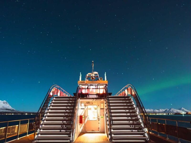 Svolvær: Northern Lights and Full Steam Cruise with Tasting - What Sets This Tour Apart from Similar Experiences