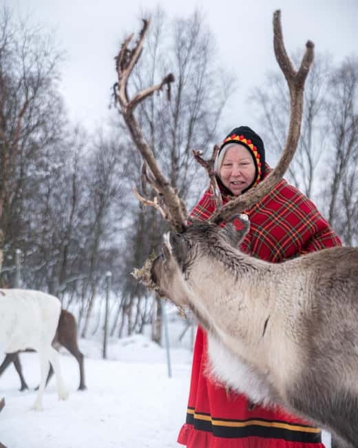 Svolvær: Sami Culture and Reindeer Experience - Discover the Sami Heritage in Nordland County, Norway