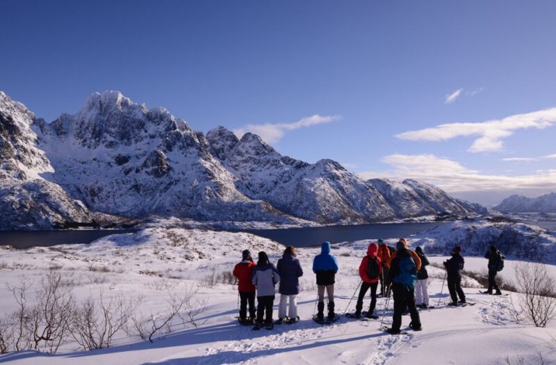Svolvær: Snowshoe Nature Explorer - Key Points