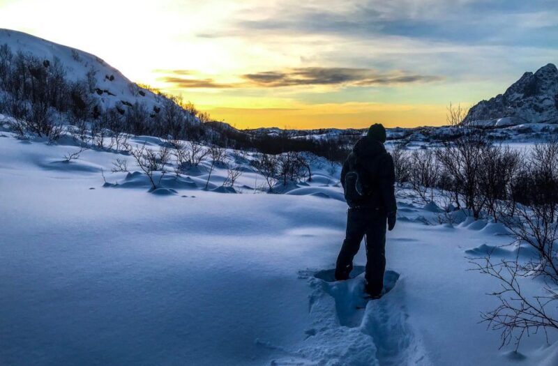 Svolvær: Snowshoe Nature Explorer - The Guided Walk: Stories, Nature, and Scenic Stops