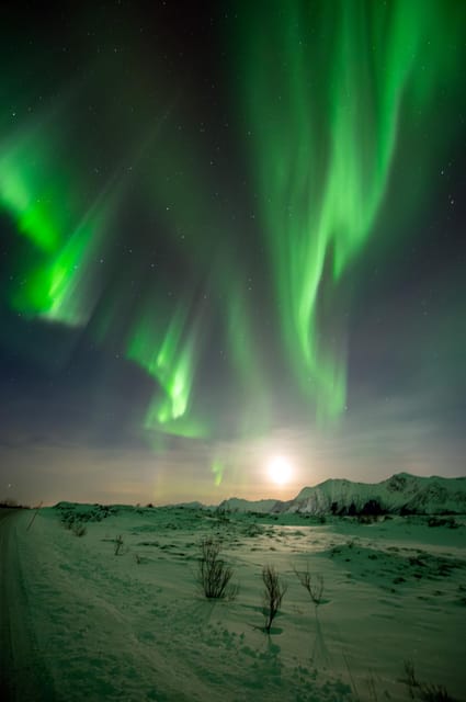 Svolvær: Ultimate Aurora Hunt - The Art of Night Photography with a Professional