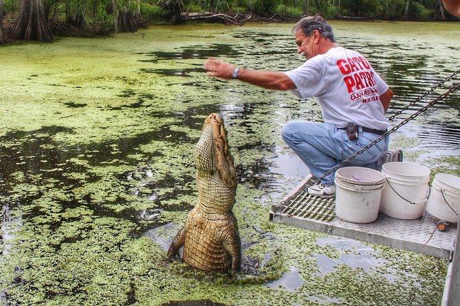 Swamp Boat Ride and Oak Alley Plantation Tour from New Orleans - Scenic Crossings and Wetlands