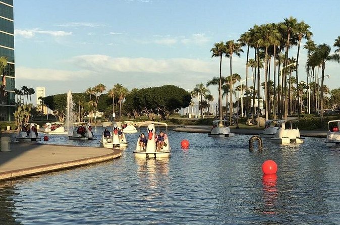 Swan Boat Rental at Rainbow Lagoon in Long Beach - Nighttime LED Swan Boat Rides: A Romantic Highlight