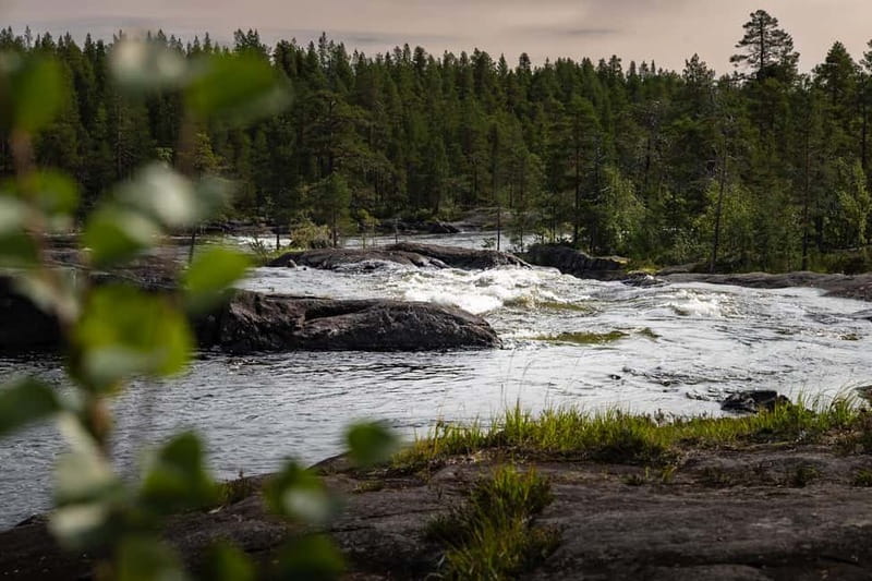 Swedish Lapland: Midnight Sun Photography Workshop - Key Points