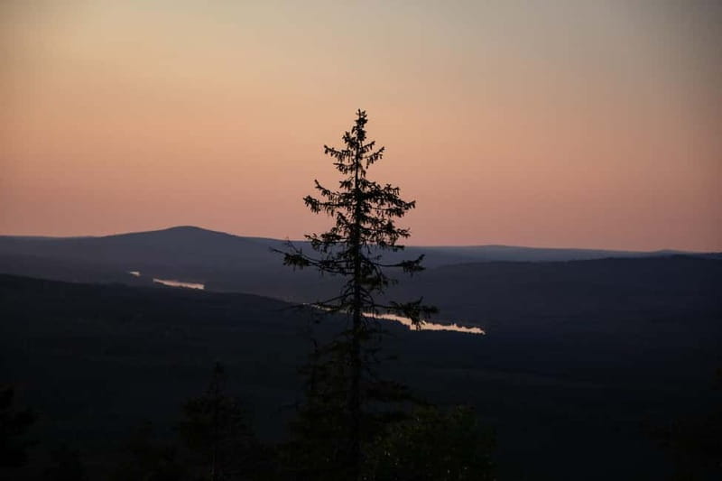 Swedish Lapland: Midnight Sun Photography Workshop - The Experience Provider: North Life Explorer