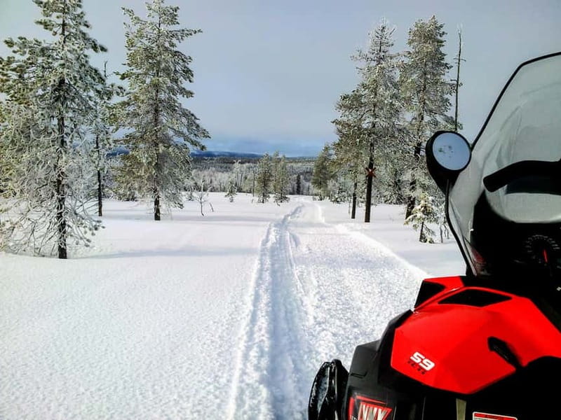 Swedish Lapland: Snowmobile safari - The Sami-Style Campfire Lunch Experience