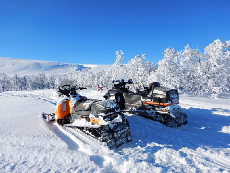 Swedish Lapland: Snowmobile safari - Who Will Enjoy This Snowmobile Safari?