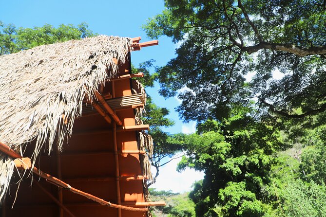 Swim at Oahu Waterfall in Waimea with Coffee, Lunch and Dole - Key Points