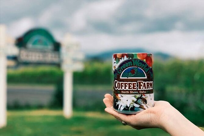 Swim at Oahu Waterfall in Waimea with Coffee, Lunch and Dole - Green World Coffee Farm: A Local Coffee and Breakfast Stop