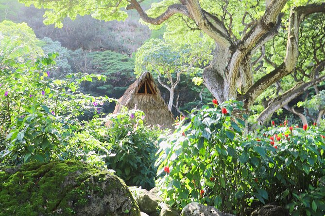 Swim at Oahu Waterfall in Waimea with Coffee, Lunch and Dole - Guide Expertise and Guest Satisfaction