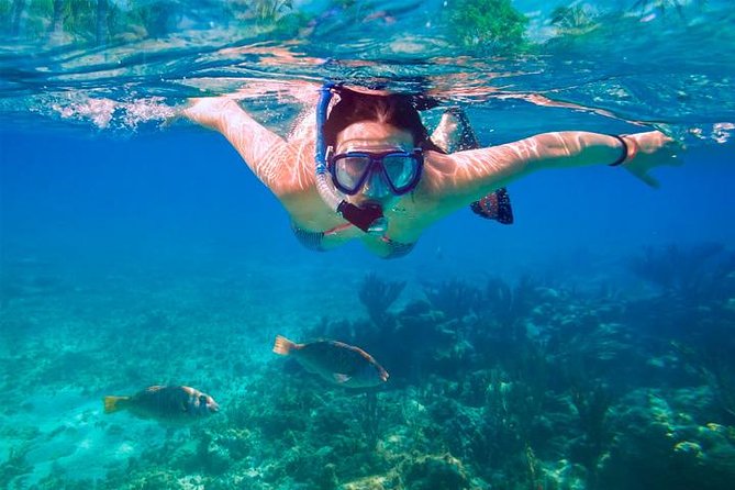 Swim & Fly Day Trip in Cancun with Transportation - Key Points