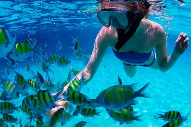 Swim & Fly Day Trip in Cancun with Transportation - Weather Dependency and Cancellation Policies