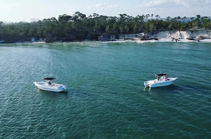 Swim with Dolphins And Snorkeling Group Tour - Group Size, Weather Cancellations, and Physical Requirements