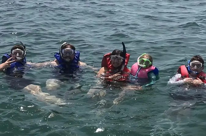 Swim with Dolphins And Snorkeling Group Tour - Customer Service and Guide Communication