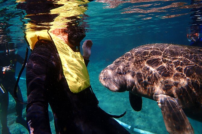 Swim with Manatees: Eco-Educational Tour in Crystal River - Introduction to the Crystal River Manatee Swim Tour