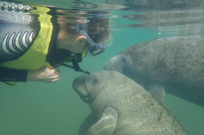 Swim with Manatees: Eco-Educational Tour in Crystal River - Key Points