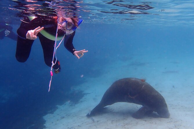 Swim With Manatees In Crystal River, Florida - Flexibility and Optional Photo Packages