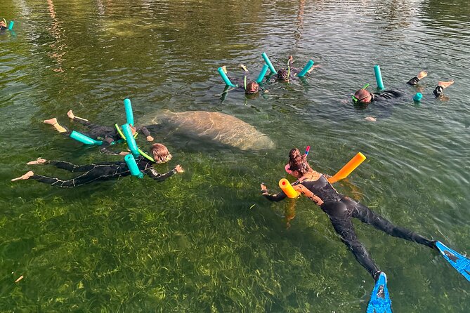 Swim with Manatees Private Tour - Discover the Unique Opportunity to Swim with Manatees in Crystal River