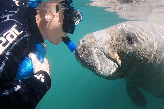 Swim With Manatees-Private Tour with In Water Guide/Photographer - Key Points