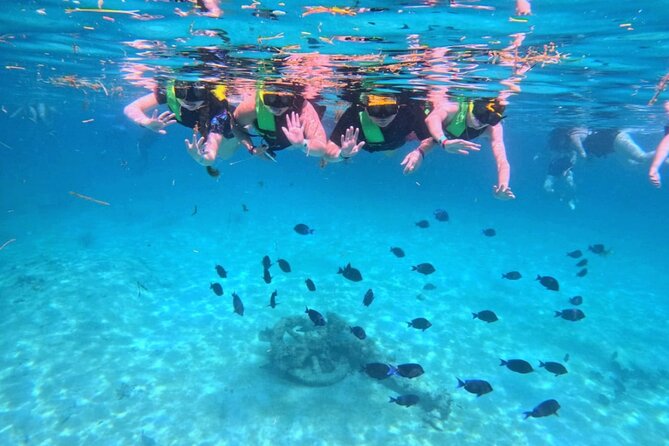 Swim with Turtles in Akumal + GoPro Photo Session - Accessibility and Physical Requirements