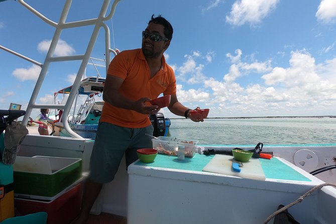 Swim with whale sharks on a private tour - The Role of Guides and Crew Expertise