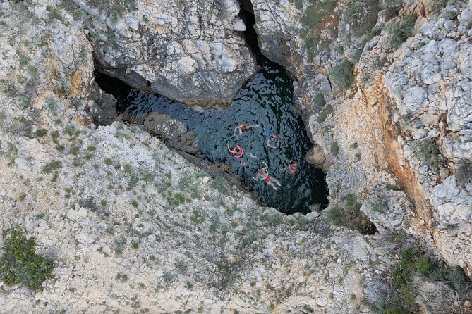 Swimming and Snorkeling on the Wild Bays 3.5 Hours (PUBLIC) - The Experience with Captain Bobo