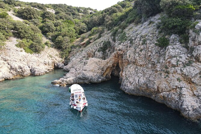 Swimming and Snorkeling on the Wild Bays 3.5 Hours (PUBLIC) - Who Will Enjoy This Krk Island Snorkeling Tour?