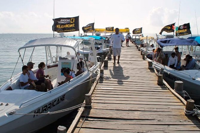Swimming Expedition Whale Shark Departures from Cancun - The Snorkeling Experience and Safety Measures
