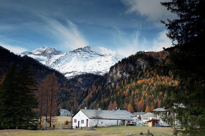 Swiss Alps Bernina Red Train and St.Moritz Tour from Milan - Key Points