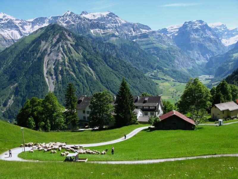 Swiss Alps: Easy Alpine Hike - Hidden Gems, No Crowds - Comparing This Tour to Other Swiss Experiences