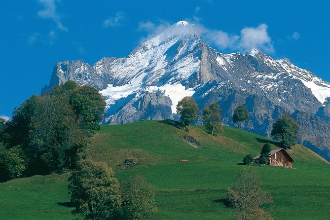 Swiss Alps: Interlaken and Grindelwald Day Trip from Zurich - Key Points