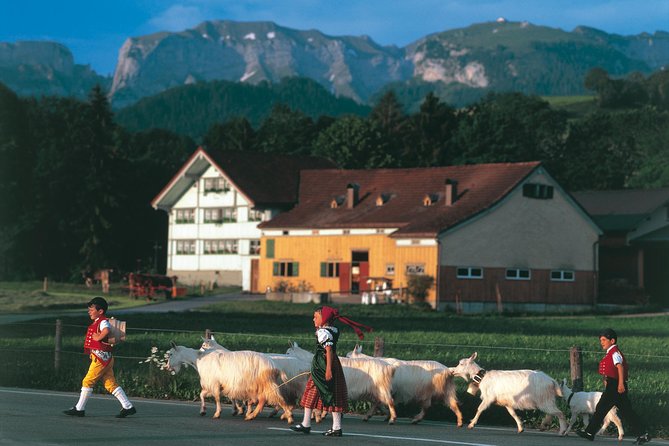 Swiss Cheese, Chocolates and Mountains Small-Group Tour from Zurich - Discovering the Secrets of Appenzeller Cheese at the Show Dairy