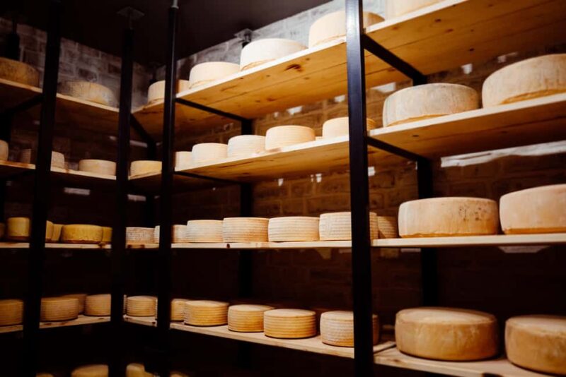 Swiss Cheese Tasting Experience | Basel - The Tasting of Classic Swiss Cheeses