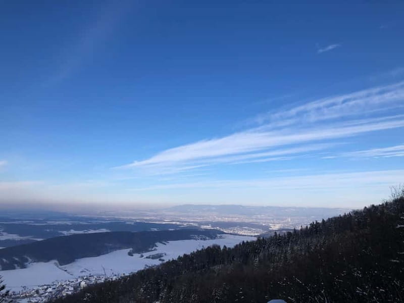 Swiss Highlights: Guided Zürich, Lucerne and Basel tour - Discovering Basel’s Art Scene and Historic Roots