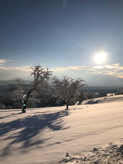 Swiss Highlights: Guided Zürich, Lucerne and Basel tour - Transportation and Comfort in a Private Setting