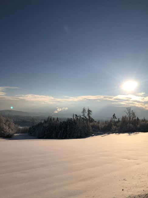 Swiss Highlights: Guided Zürich, Lucerne and Basel tour - Practical Tips and What to Bring