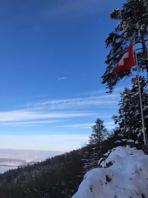 Swiss Highlights: Guided Zürich, Lucerne and Basel tour - Frequently Asked Questions