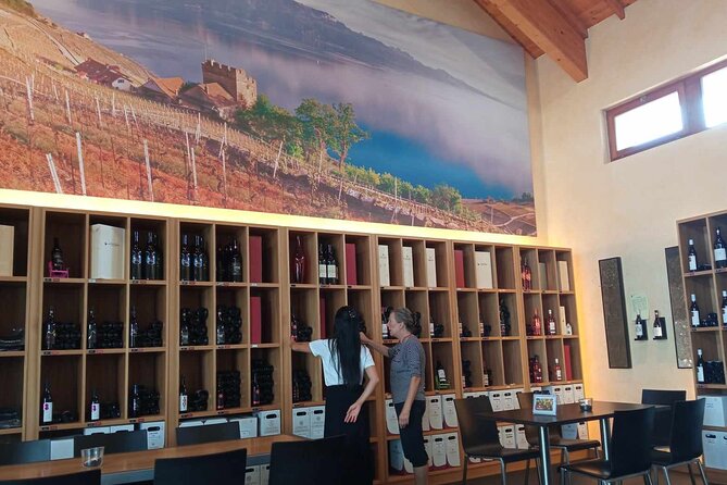 Swiss Vineyard Wine Tasting Tour in Vaud - Discovering Château de Chillon’s Rich History