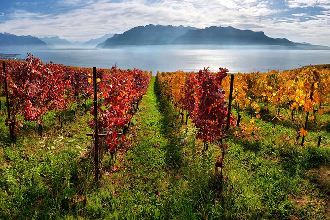 Swiss Wine Tasting at Lavaux Vineyards: Private Trip from Geneva - Knowledgeable Guides and Personalised Experience