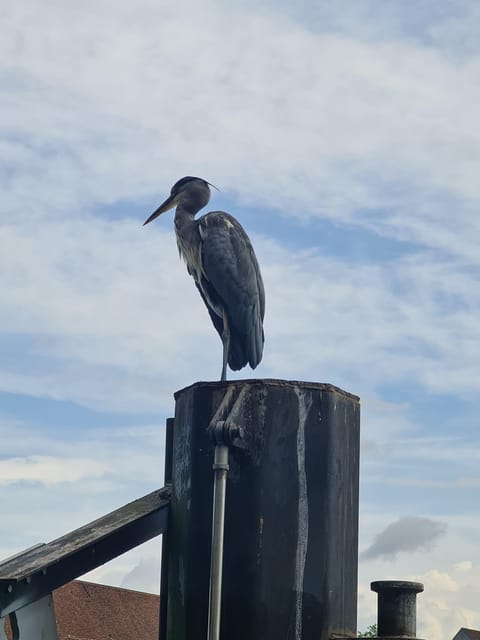 Switzerland: Private nature safari with a local guide. Check out the Alps, lakes, and more - Meet Michel Hänggi: An Expert in Swiss Nature