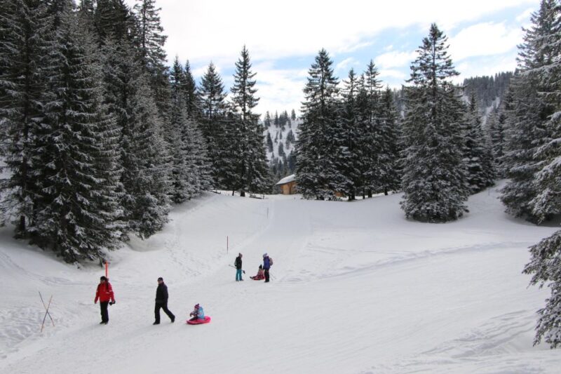 Switzerland: Private Sledging Day Tour - Additional Activities: Skiing and Snowshoe Hiking