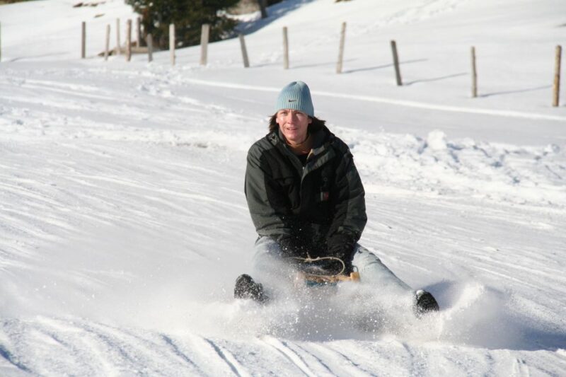 Switzerland: Private Sledging Day Tour - Multilingual Guides and Booking Flexibility