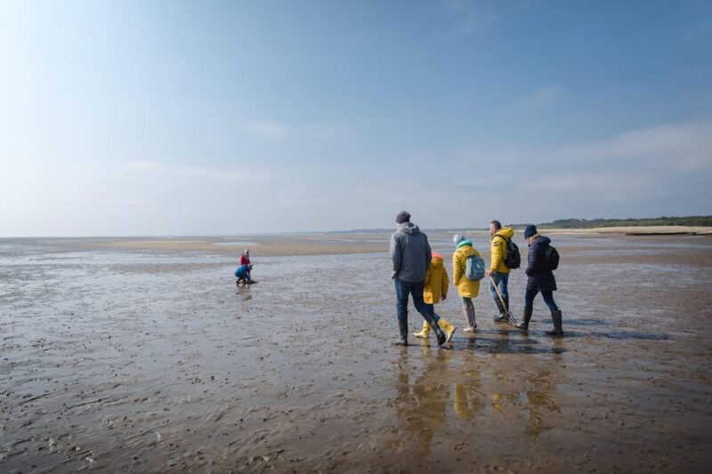 Sylt: Guided Mudflat Hike on the Island - Discover Sylt’s Unique Mudflat Landscape with a Guided Tour